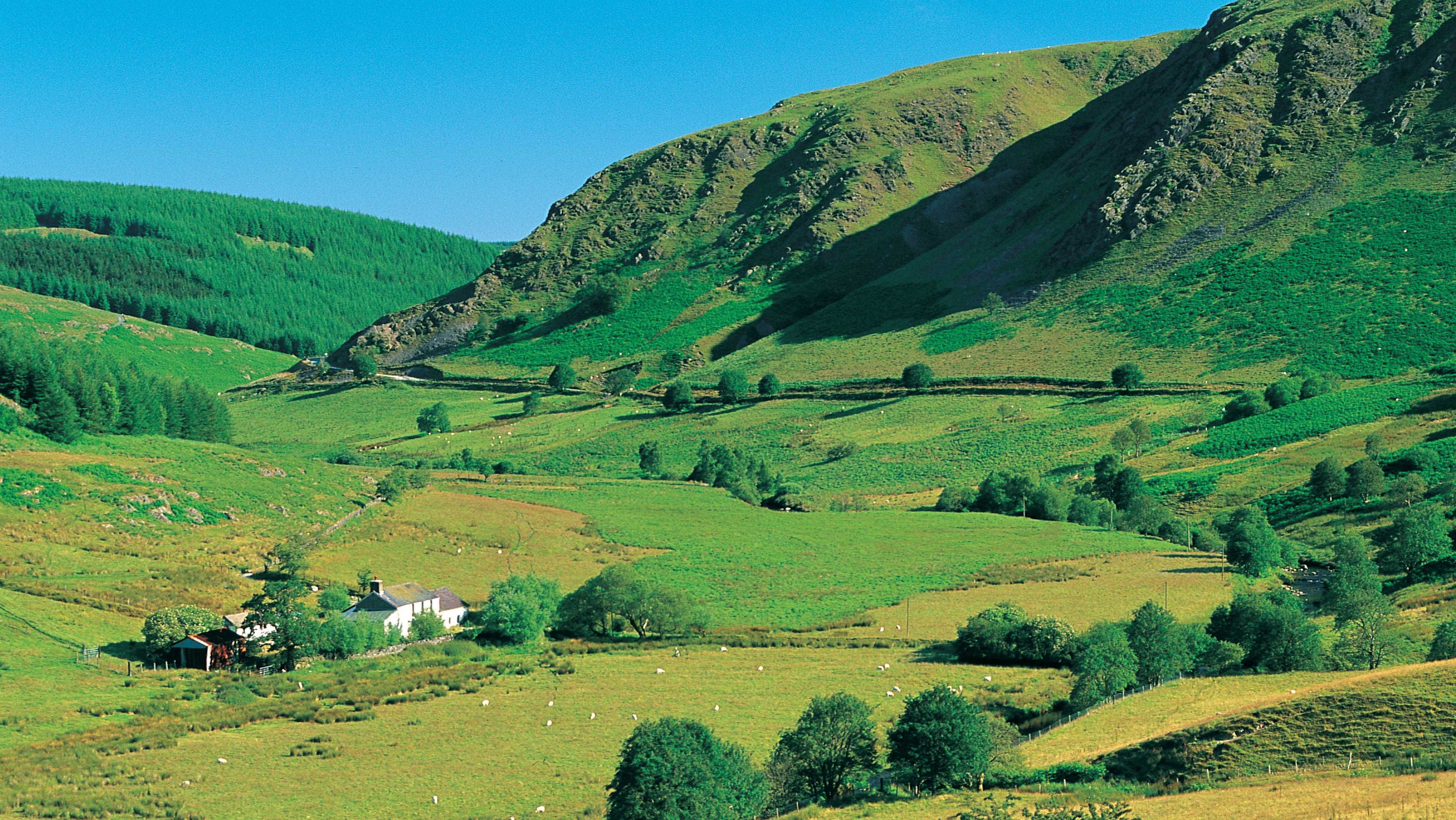 Tywi Valley near Rhandirmwyn